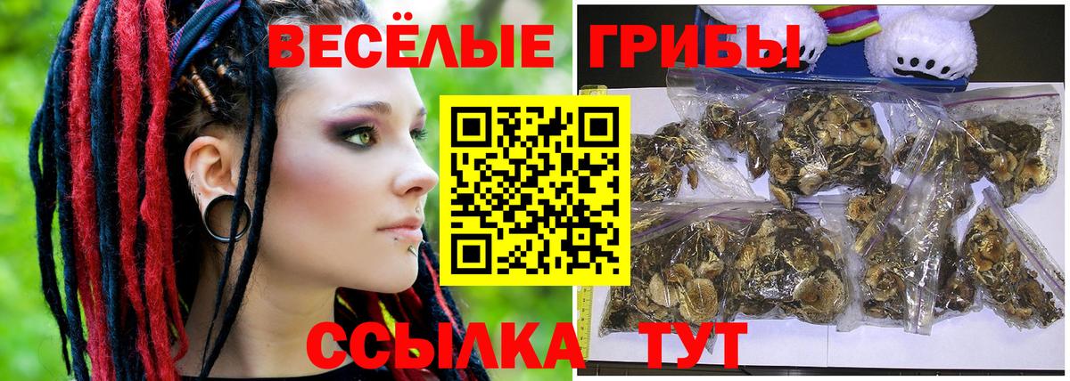 Псилоцибиновые грибы прущие грибы Камень-на-Оби